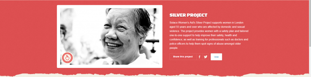 Solace Women's Aid  Silver Project